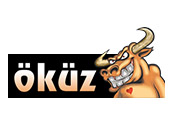 okuz tugla duvar uygulamasi